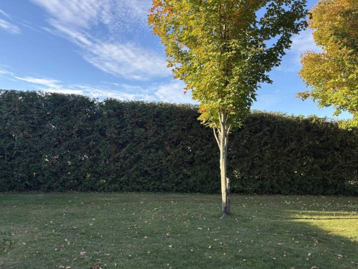 Entretien végétaux Estrie