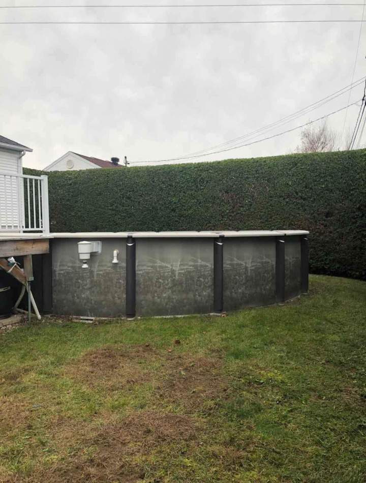 Haie parfaitement taillée Estrie