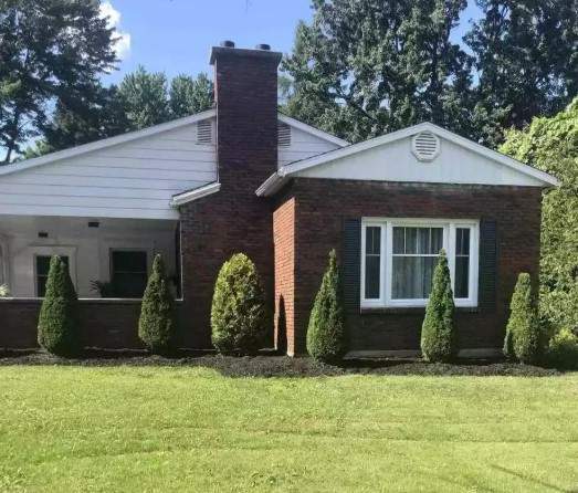 Installation de haie, Waterloo