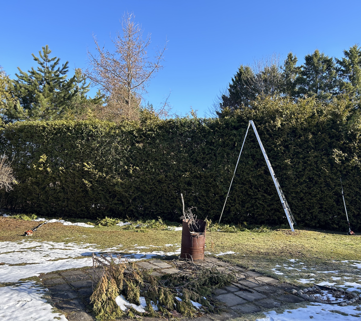 Pruning at Height Estrie