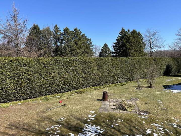 Broyage des branches Estrie