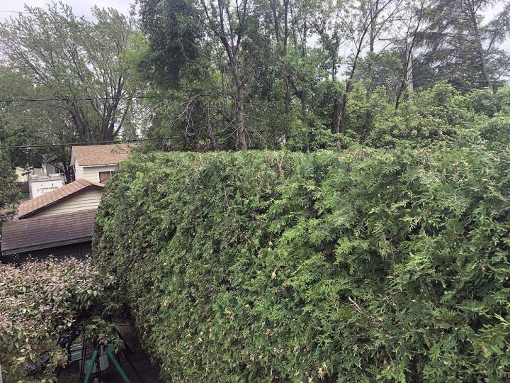 Firewood Supply Estrie