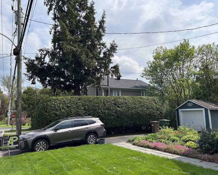 Entretien haies Estrie