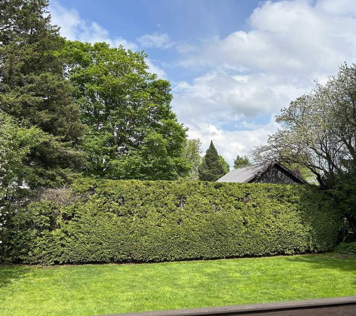 Garden Cleaning Estrie