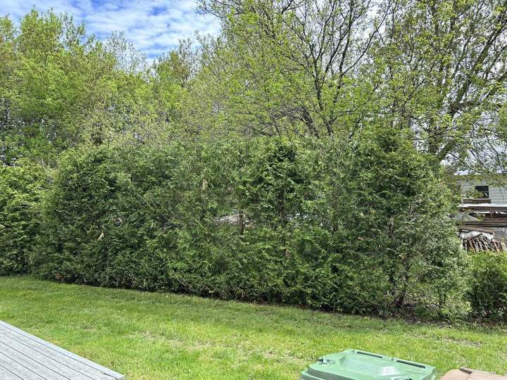 Approvisionnement en bois de qualité