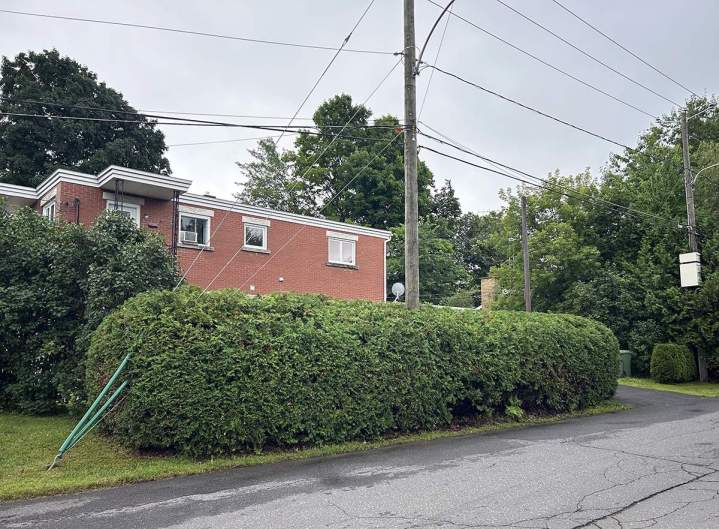 Haie de cèdres bien entretenue Estrie