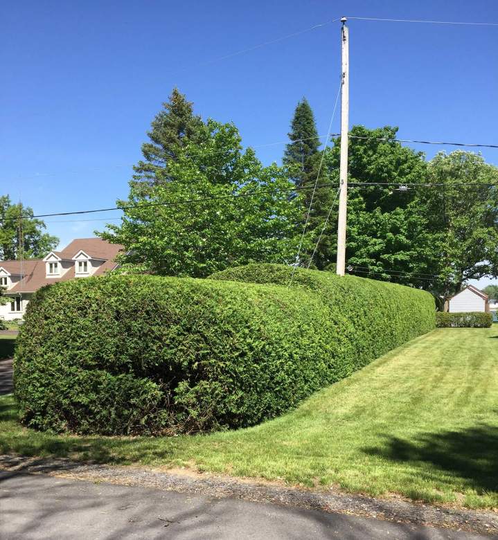 Entretien paysager Estrie