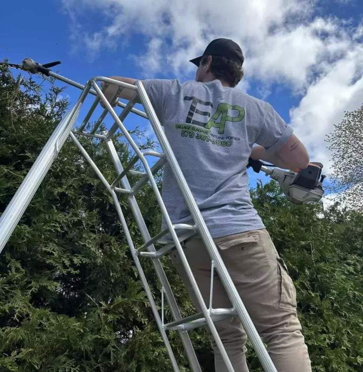 Taille de haie Estrie