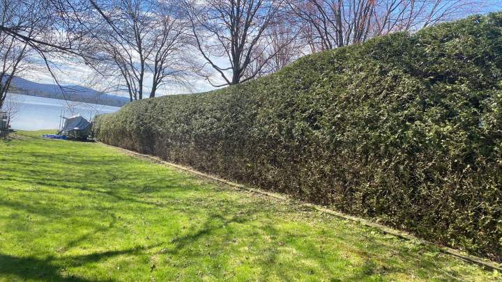 Entreprise de taille de haie Estrie