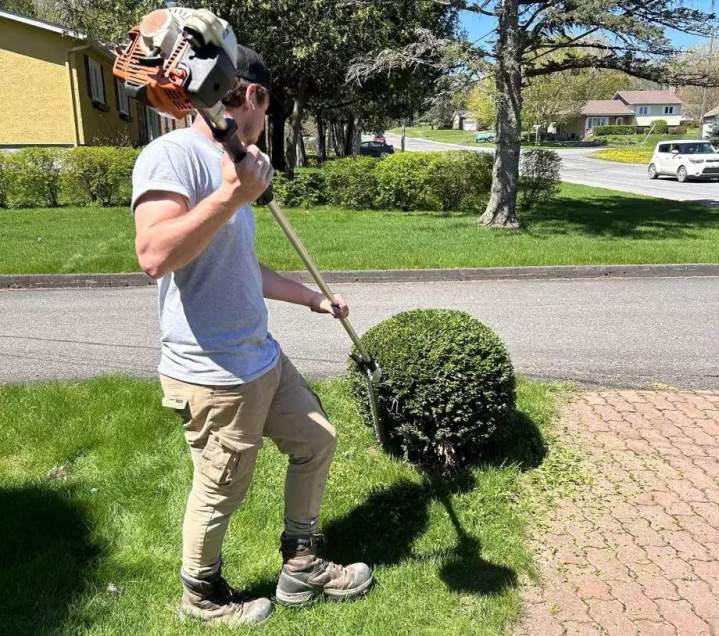 Taillage de haie Estrie