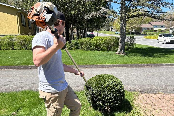 Votre partenaire en taillage et pose de haie.