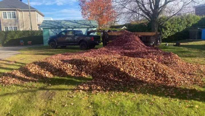 Ramassage de feuilles mortes Estrie