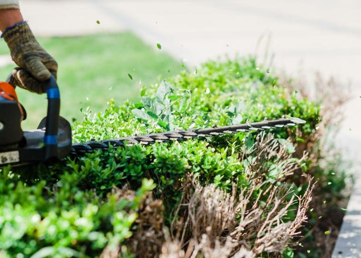 Hedge Cutting Estrie