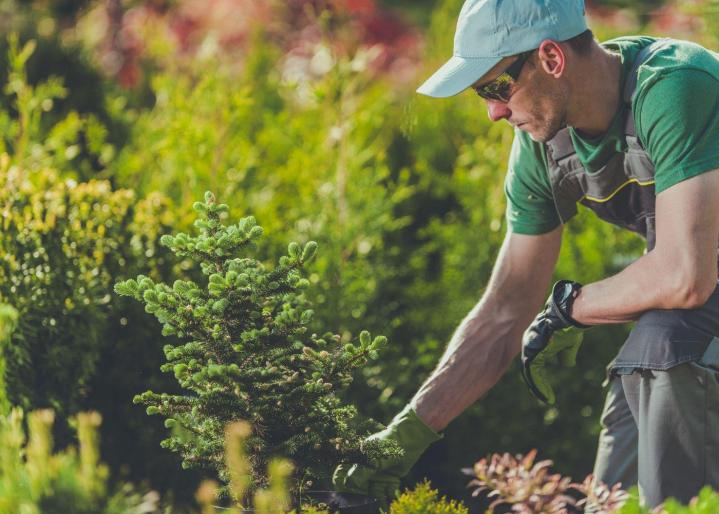Service de terrassement Estrie